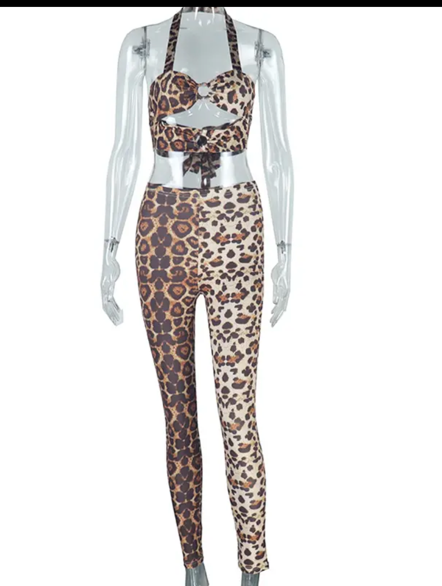 Leopard Print Sexy O-Neck Matching 2 Piece Set